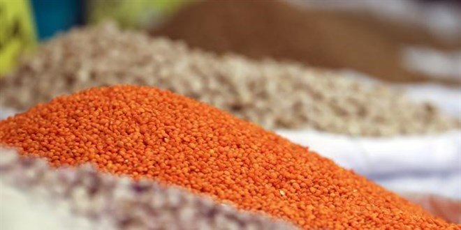Kabuklu kırmızı mercimek alım fiyatı 15 bin liraya yükseltildi