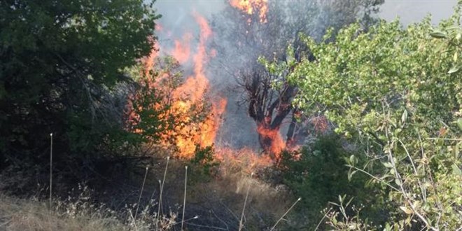 Malatya'da orman yang�n�: 150 d�n�m alan zarar g�rd�