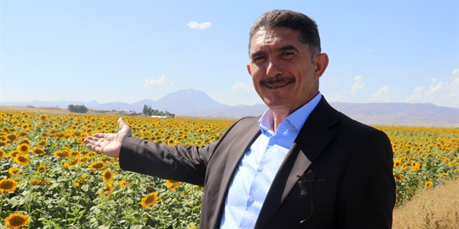 Ağrı'da yağışlarla tarım ürünlerinde verim artışı yaşanıyor