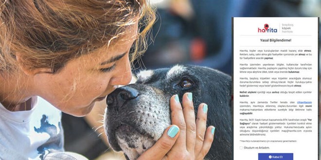 Havrita'ya kapatma davası: İşaretlenen sokak köpekleri öldürülüyor mu?