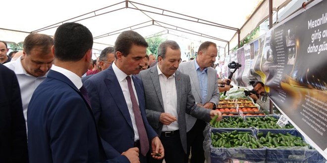 Bu köyün göç problemi yok