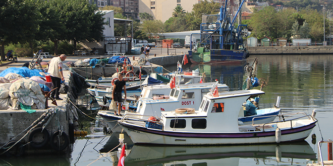 Marmara'da hamsi, Karadeniz'de palamut, balıkçıları umutlandırdı