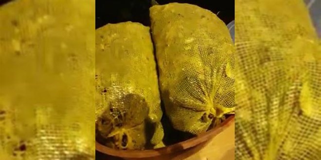 Kaçak midye avcılığına göz açtırılmıyor: 4 kişiye 29 bin lira ceza