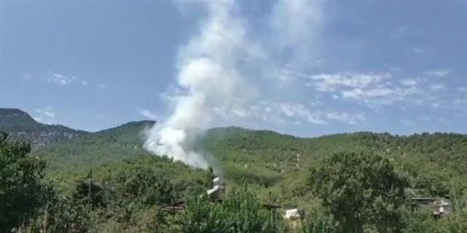 Hatay'da orman yang�n�: M�dahale ediliyor