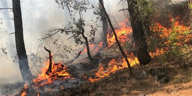 Antalya'da orman yangını: Müdahale sürüyor