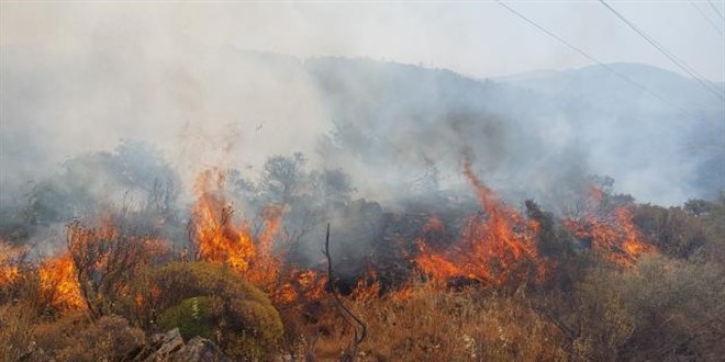 Manisa'daki orman yangını kontrol altına alındı
