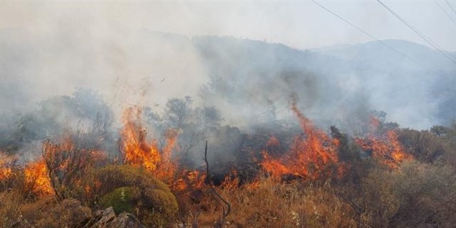 Manisa'daki orman yangn kontrol altna alnd