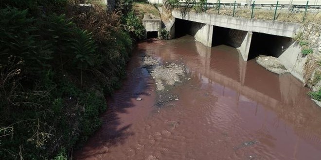 Ayamama Deresi'ndeki kirli suyla ilgili inceleme yapıldı