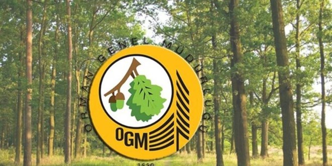 Geçen yıl yanan ormanların yüzde 90'ında çalışmalar tamamlandı