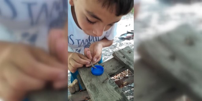 Sıcaktan bunalan yavru kertenkeleye şişe kapağıyla su içirdi
