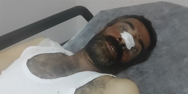 Bingöl'de ayı saldırısına uğrayan çoban yaralandı