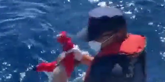 Bakan Soylu 'lanet olsun insanlığınıza' diyerek paylaştı