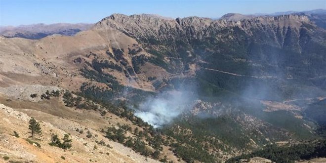 Adana'da iki orman yangını