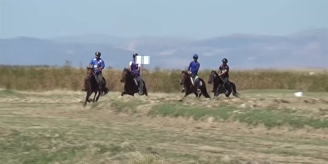 Konya'da jokeyini üstünden atan at saatler sonra göldeki sazlıklarda bulundu