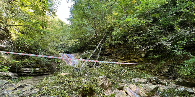 Şelalede gezenlerin üzerlerine ağaç devrildi: 2 ölü, 1 yaralı
