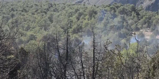 Adıyaman'da çıkan orman yangını kontrol altına alındı