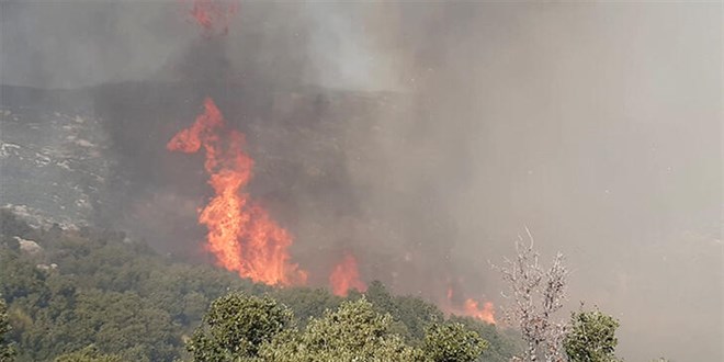 Antalya'nın Kaş ilçesinde makilikte yangın