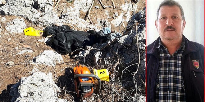 Kestiği ağacın altında kalarak hayatını kaybetti