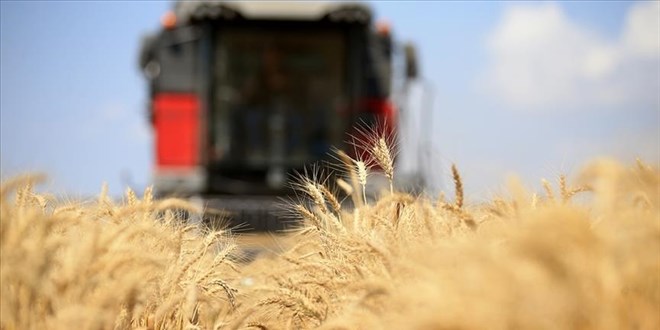 Küresel gıda fiyatları 6 aydır düşüşte