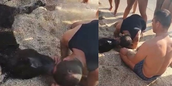 Alanya'da denizde boğulan eşeğe suni teneffüs