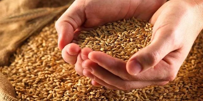 Tahıl merkezi olacağız... Ruslar Türkiye'de büyük depolar bakıyor