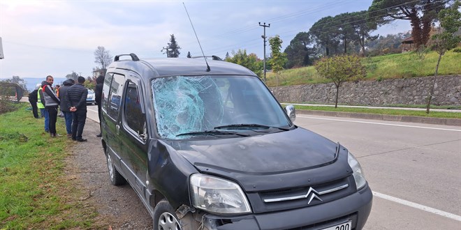 Köpeklerden kaçarken hafif ticari aracın çarptığı temizlik işçisi öldü