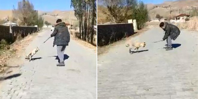Hakkari'de tilkiye kötü muamelede bulunanlar hakkında işlem başlatıldı