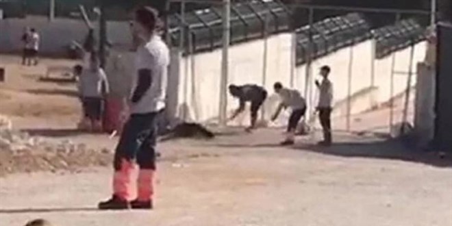 Konya'da barınaktaki hayvanları telef eden zanlıların ifadesine ulaşıldı