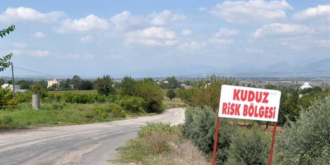 Kars'ta bir köy kuduz nedeniyle karantinaya alındı