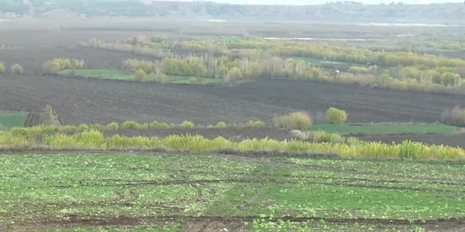 Diyarbakır'da bir kişi hayvanat bahçesinde tutulan maymununu kaçırdı