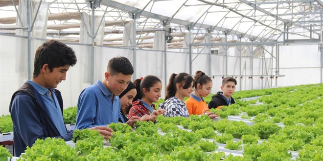 Ziraat Fakültesi gibi lise: Öğreniyor, üretiyor ve kazanıyorlar