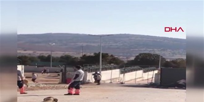 Konya'daki köpeklere eziyet eden 2 görevliye 6'şar yıl hapis istemi