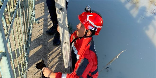 Karaman'da sokakta kadınlara saldırdığı iddia edilen zanlı tutuklandı