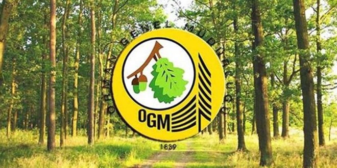 Orman Genel Müdürlüğü 249 sözleşmeli orman mühendisi alacak