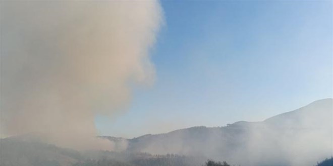 Osmaniye'de orman yangını