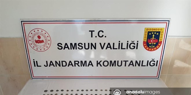 Samsun'da çeşitli dönemlere ait 101 sikke ele geçirildi