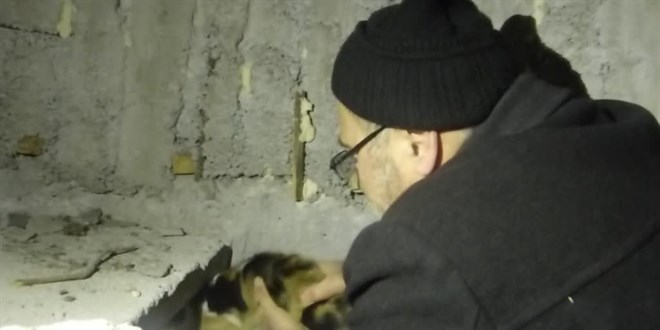 Minarede mahsur kalan kediyi din görevlisi kurtardı