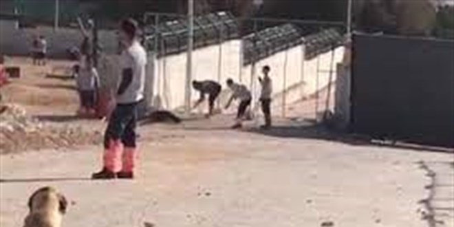 Konya'da bar�nakta k�pe�i eziyet ederek �ld�ren san�klar tutuksuz yarg�lanacak