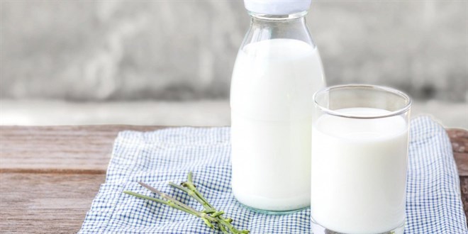 Toplanan inek sütü miktarı kasımda aylık bazda yüzde 5,1 azaldı