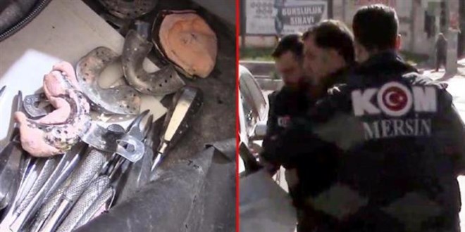 Su��st� yakalanan sahte di� doktoruna 5 y�la kadar hapis istemi