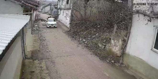 Bursa'da köpeği tüfekle vurarak telef eden kişi gözaltına alındı