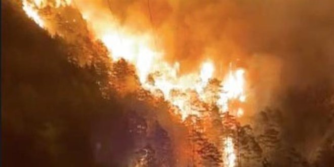 Alanya'da orman yangını: Bir mahalle tahliye edildi