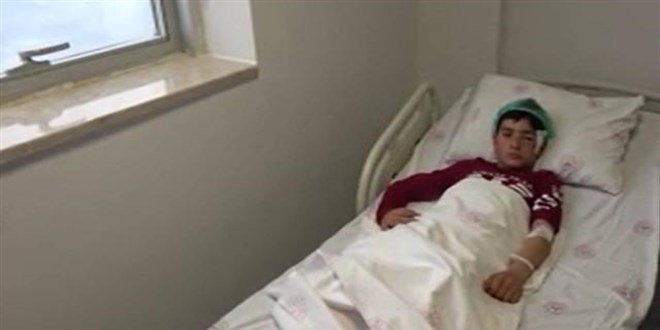 Koyun otlatan 12 yaşındaki çocuğa köpek saldırdı