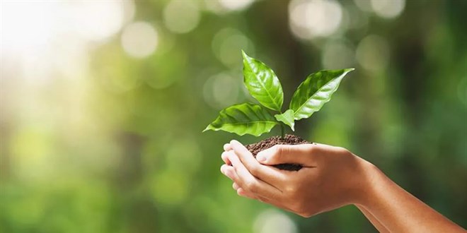 Çevre etiketinin şartları değişiyor! 5 yıl geçerli olacak