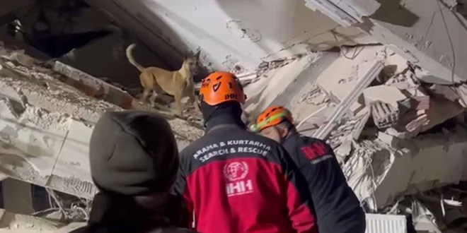 İHH'nın arama kurtarma köpekleri 50 kişinin kurtulmasına vesile oldu
