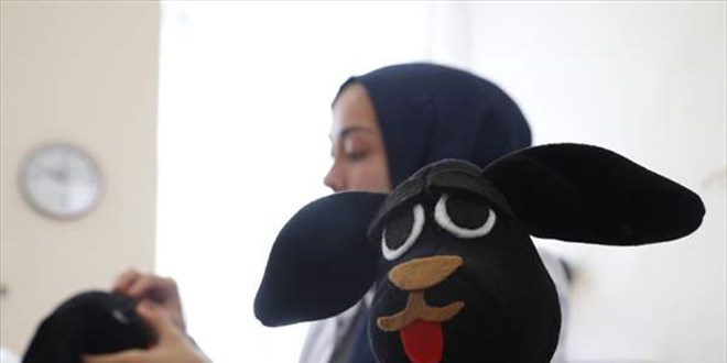 Meksikalı ekibin köpeği 'Proteo'dan pelüş oyuncak hazırlandı