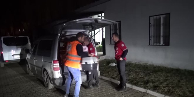 Deprem bölgesinden 25 kedi Bitlis'e getirildi