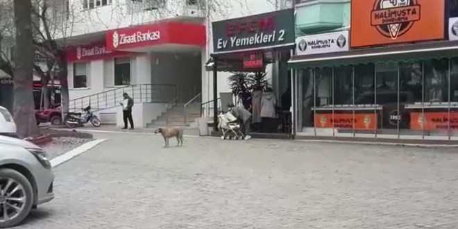 Erdek Belediye Başkanı Karışık'ın bıçaklanmasına ilişkin 2 şüpheli tutuklandı