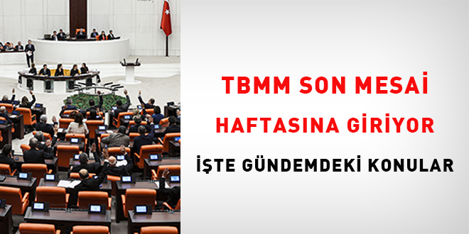 TBMM son mesai haftasına giriyor: İşte gündemdeki konular