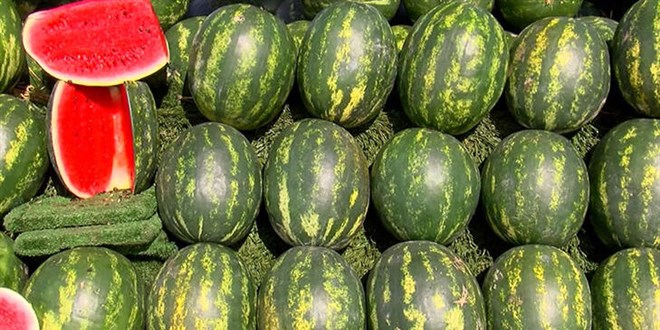 Karpuz tezgahlarda yerini aldı: Kilosu 20 ile 35 lira arasında